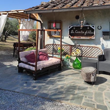 La Casa Tra Gli Ulivi Bed & Breakfast Cortona Exterior photo