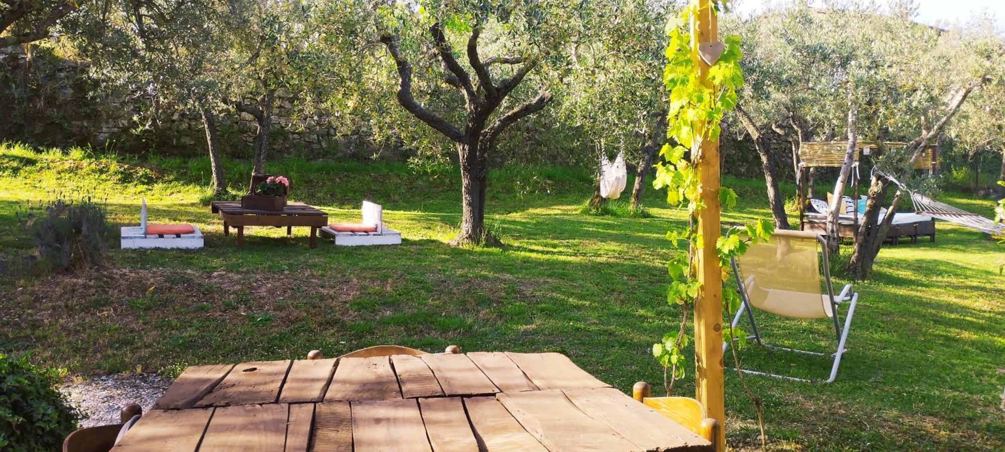 La Casa Tra Gli Ulivi Bed & Breakfast Cortona Exterior photo